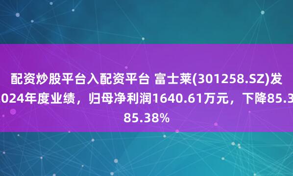 配资炒股平台入配资平台 富士莱(301258.SZ)发布2024年度业绩，归母净利润1640.61万元，下降85.38%