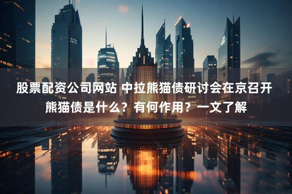股票配资公司网站 中拉熊猫债研讨会在京召开 熊猫债是什么？有何作用？一文了解