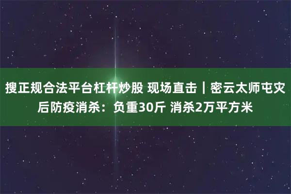 搜正规合法平台杠杆炒股 现场直击｜密云太师屯灾后防疫消杀：负重30斤 消杀2万平方米