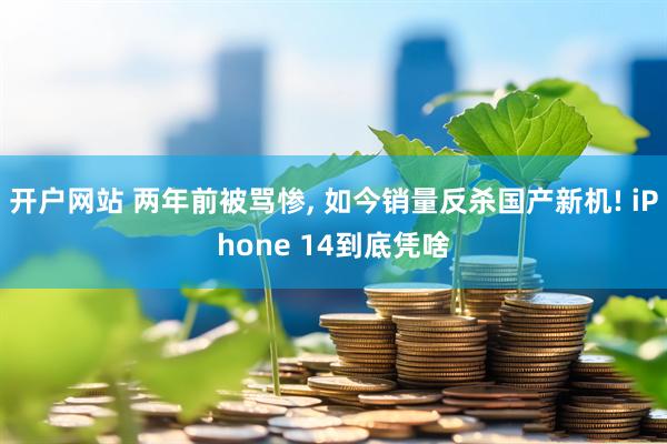 开户网站 两年前被骂惨, 如今销量反杀国产新机! iPhone 14到底凭啥